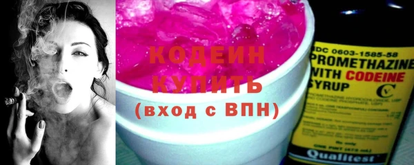 мдпв Кемь