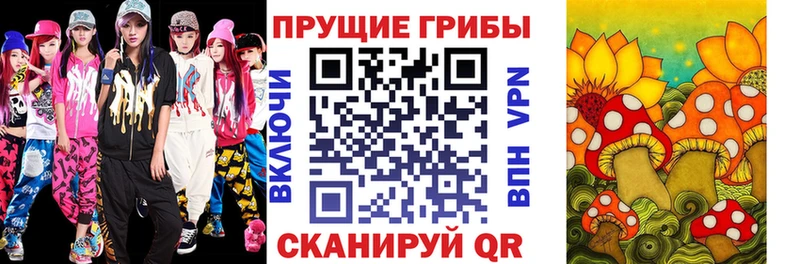 Псилоцибиновые грибы Cubensis  Верхняя Тура 
